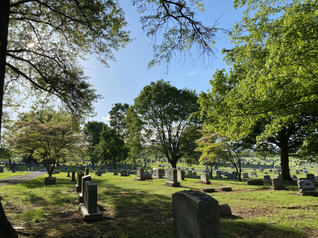 View of the cemetery and trees
